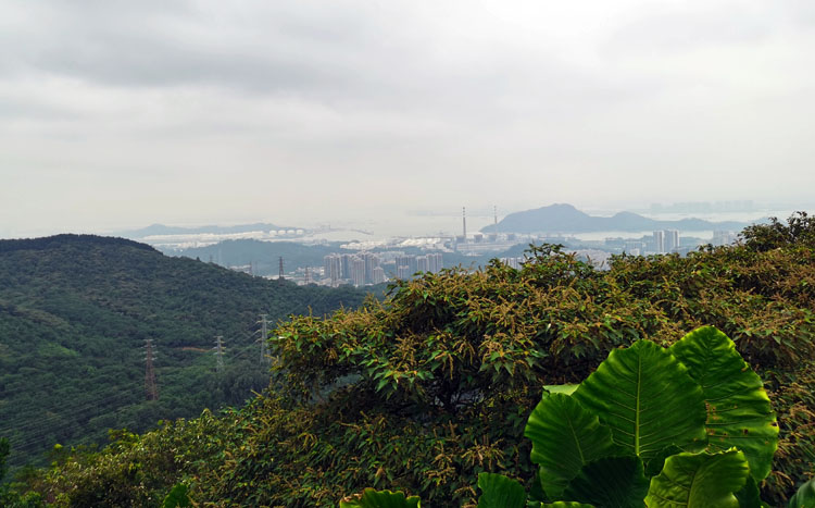 激揚青春、奮勇攀登登山活動